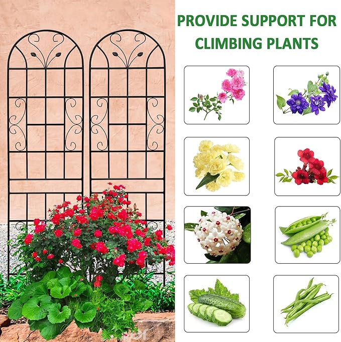 4 Pack Metal Garden Trellis 86.7" Tall Outdoor Climbing Plant Support for Roses, Flowers, Rustproof Durable Black Galvanized Tube, Lawn Garden Fence Decor Screen (4, Black curves-86.7" H)