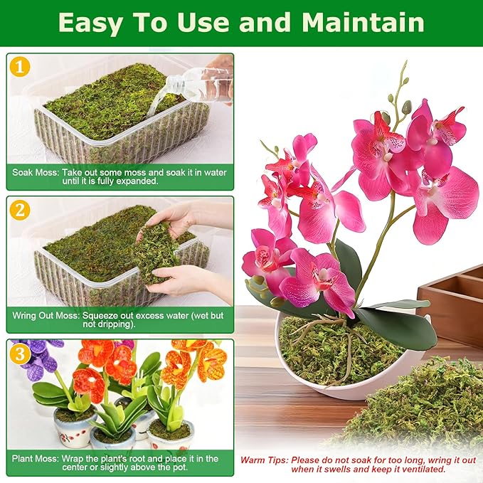 Legigo 7OZ Premium Forest Moss for Plants, 8 QT Natural Green Sphagnum Moss for Potted Plants, Dried Orchid Moss Potting Mix, Soft Real Moss Decorative for Houseplants Orchids Succulents Reptiles