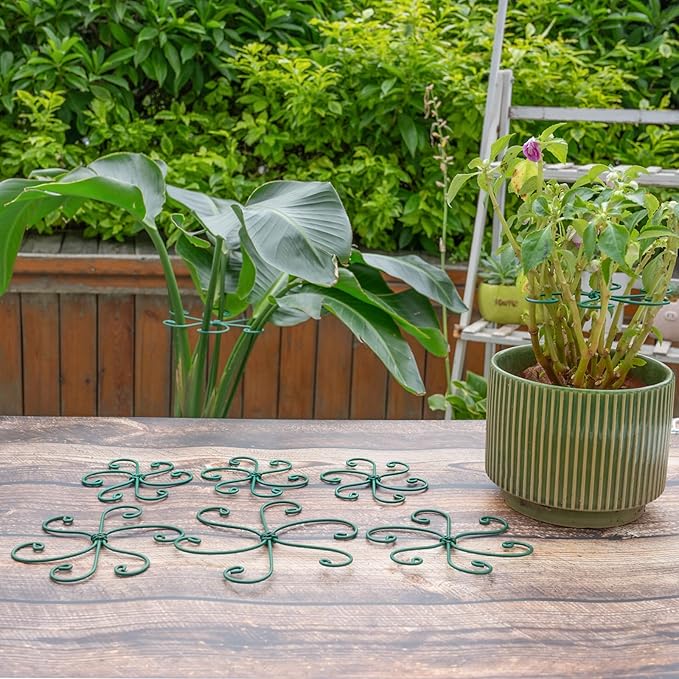5PCS Monstera Plant Support Hook - 4.1 * 4.4IN, Durable Flexible Stabilizers for Indoor Plants, Metal Stem Supports and Leaf Holders, Easy Tool-Free Operation, Ideal for Fishbone Cactus Care