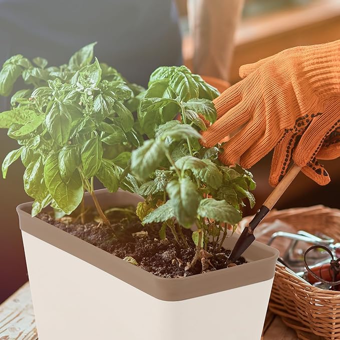 6 Set Window Herb Planter Box Self Watering Plant Pots 10.6 Inch Rectangular Herb Pots Decorative Garden Flower Box for Indoor, Succulent,Vegetables, Flowers