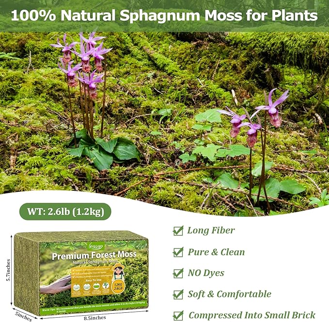 Legigo 2.6LBS Premium Forest Moss for Plants, 50 QT Natural Green Sphagnum Moss for Potted Plants, Dried Orchid Moss Potting Mix, Soft Real Moss Decorative for Houseplants Orchids Succulents Reptiles