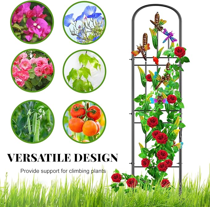 2 Pack Garden Trellis for Climbing Plants Outdoor, Metal Arched Fence Trellis Plant Climbing Support Decorative, Plant Trellis Indoor for Vines Flowers Vegetables Wall Brackets, 60" x 11"