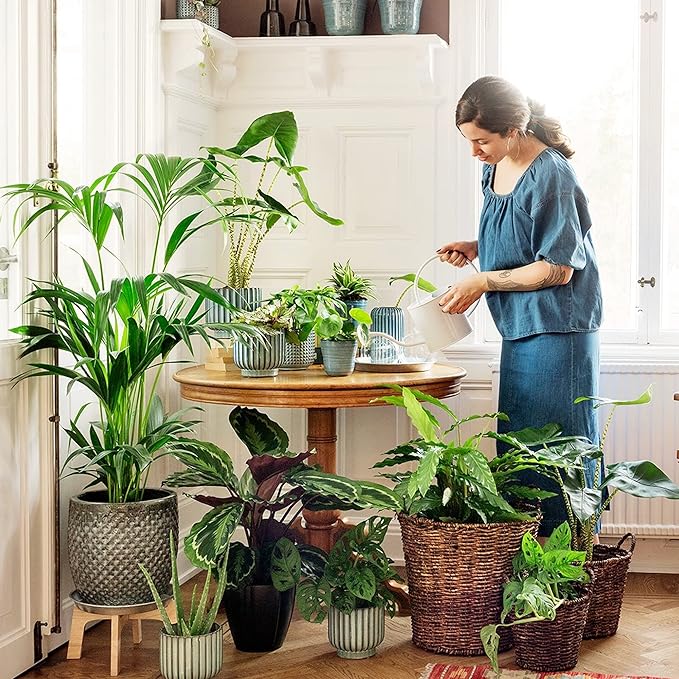 Briignite Grow Light Bulbs, 4 Full Spectrum Growth Modes, 3/9/12/18H Timing, A19 Dimmable Plant Light Bulb E26 Base, 11W Grow Bulb 100W Equivalent, Grow Light for Indoor Plants, Seed Starting, 2Pack