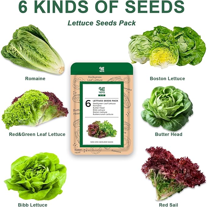 Lettuce Seed Pod Kit Included Romaine, Bibb Lettuce, Boston Lettuce, Red&Green Leaf, Grow Anything Seed Starter Pod Kit for Hydroponics Growing System with Plant Food and Accessories (8-Pod)