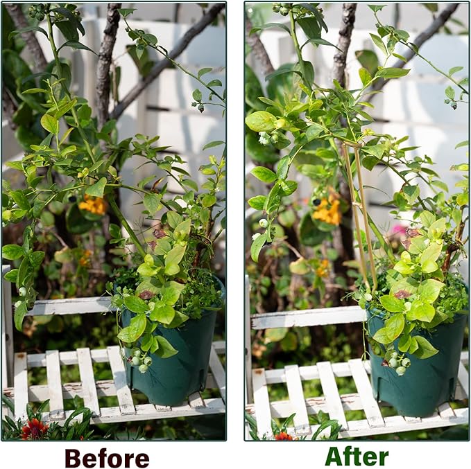 3PCS Plant Support Stakes – Durable Gold Metal Supports for Monstera, Philodendron & More - Ideal Trellis Structures for Indoor & Outdoor Gardening - Perfect for Small to Tall Plants