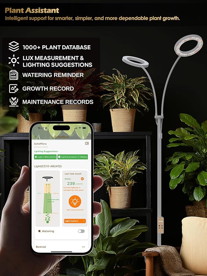 GLOWRIUM Smart Grow Lights for Indoor Plants with Auto Timer,Full Spectrum LED Floor Plant Light for 3 Spectrum Modes,6 Dimmable Levels,63inch Adjustable Height for Large Plants (White, 40W)