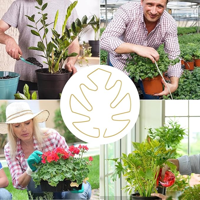 5 Pcs Plant Stem Support, Iron Monstera Plant Support, Durable Hook Stem Supports for Healthy Growth, Bamboo Clamp Set for Leaf Stabilization and Support, Ideal Present for Plant Lovers (6.25IN*7IN)