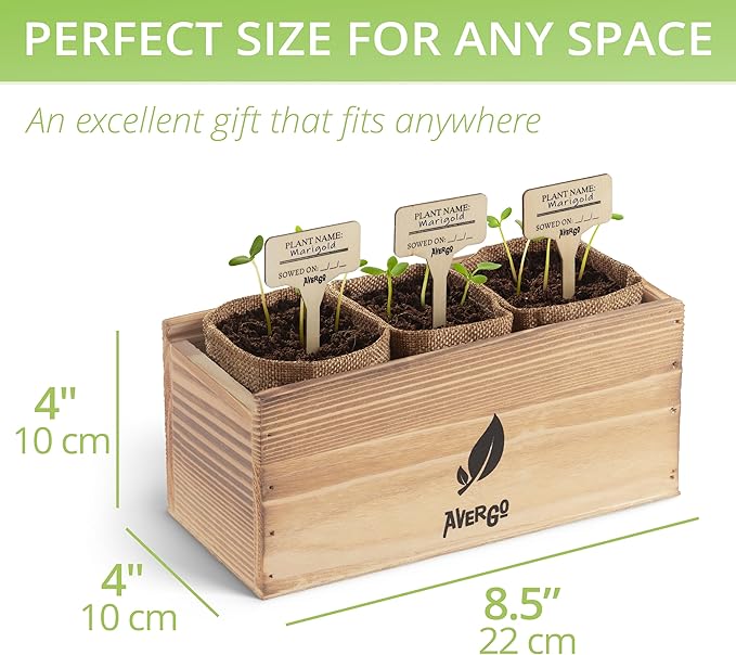 Sunflower Seeds Growing Kit – Complete Seed and Plant Indoor & Outdoor Kit with Sunflower Seeds for Planting, Planter, Soil, Tools, Instructions – Ideal for Planting Sun Flowers at Home