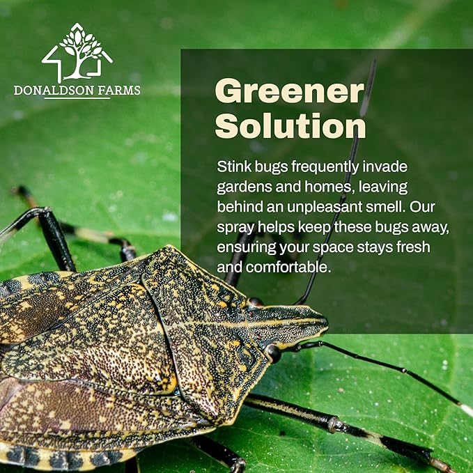 Stink Bug Spray - Naturally Eliminate Stink Bugs for a Refreshing Home Atmosphere, Keeping Unwelcome Intruders at Bay, 16oz