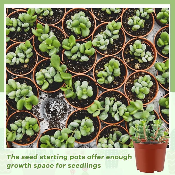 Yaomiao 200 Pcs 3 Inch Red Mini Plastic Plant Pot Nursery Seedling Pots Seed Starter with Drainage Holes for Indoor Outdoor Garden Succulent Plants Cuttings Transplanting