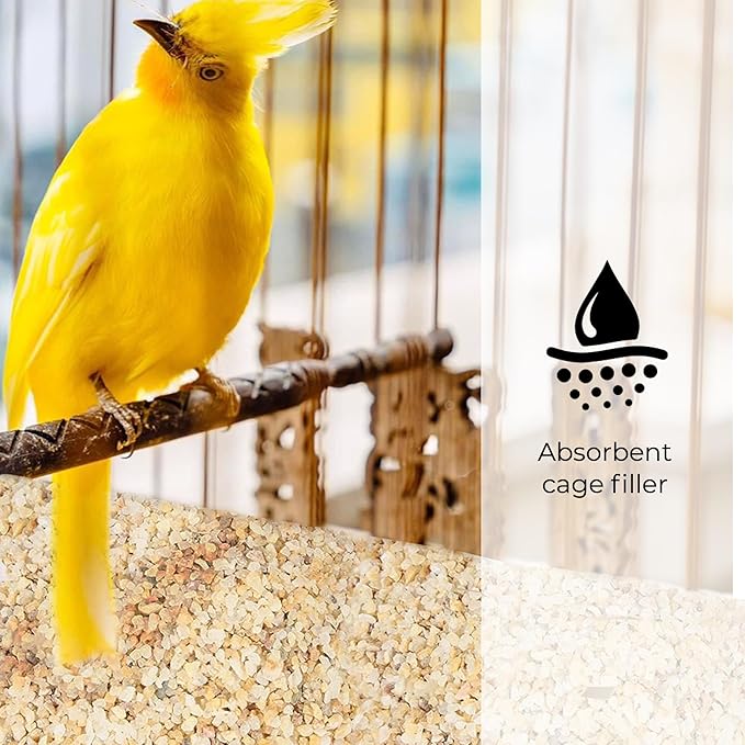 Granule Silica Sand - 10LB- Gravel for Plants - Horticultural Sand - Small Sharp rocks for Plants Bonsai Cactus & Garden Sand Grit - Terrarium and Plant Sand Soil Gardening Landscape Succulent Stones