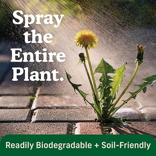 FireHawk™ Bioherbicide Concentrate 32 oz | Fast‑Acting Alternative Weed Killer | Soil‑Friendly Formula | Makes Up to 5+ gallons for Broad‑Spectrum Control