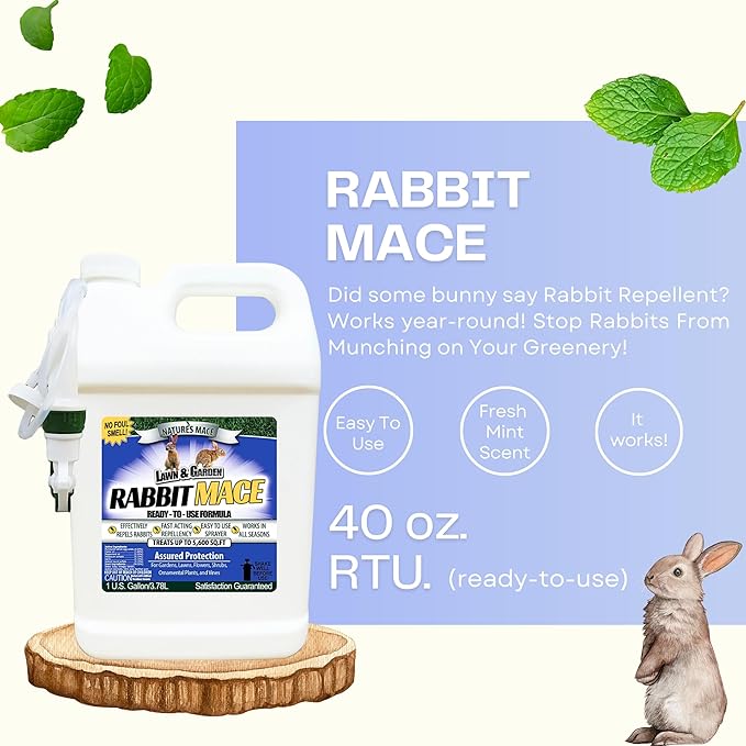 Nature’s Mace Rabbit MACE, Rabbit Deterrent for Yard, Rabbit Repellent Outdoor, Mint Scent Rabbit Spray, Garden, Lawn, Keep Rabbits Out, 1 Gallon Ready to Use, Safe Around People, Pets, Plants