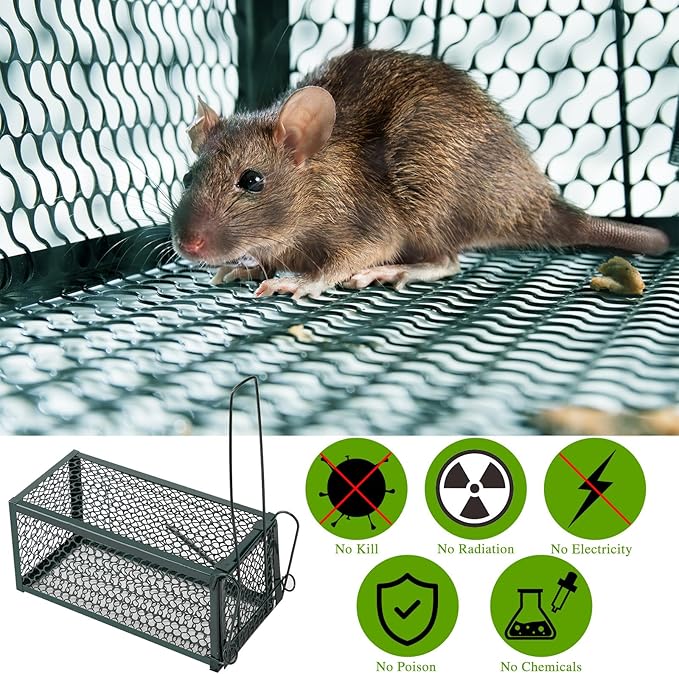 Qualirey 2 Pcs Humane Rat Trap Chipmunk Rodent Mouse Squirrel Trap Small Live Animal Mouse Voles Hamsters Live Cage Rat Mouse Cage for Mice Easy to Catch and Release (Green)