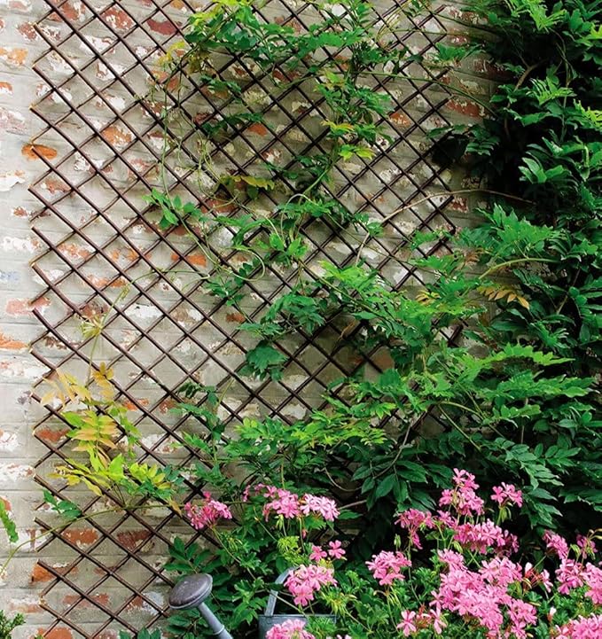 Expandable Willow Lattice Fence Panel Plant Support Garden Trellis for Climbing Vine Ivy Rose Cucumbers Clematis Outdoors Garden Yard, 36X92 Inch(1PC)