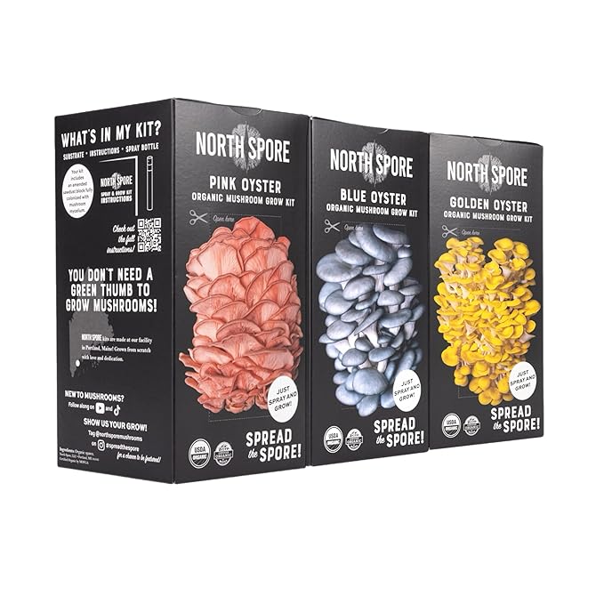 (3-Pack) North Spore Organic Blue, Pink, and Golden Oyster Mushroom Spray & Grow Kits (4 lbs each) | USDA-Certified Organic, Non-GMO, Beginner-Friendly & Easy to Use | Handmade in Maine, USA