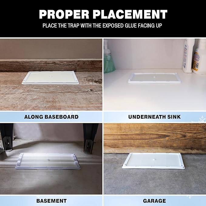 Catchmaster Freeze Resistant Glue Traps 6PK Mouse Traps Indoor for Home, Pest Control Tray for Rodents, Bugs & Crickets, Cold Weather Glue Board for House, Shed & Garage