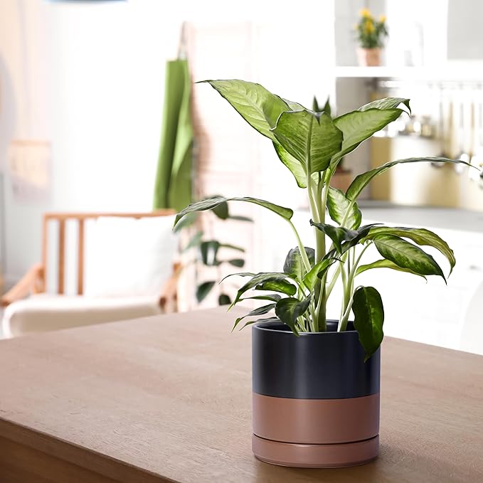 D'vine Dev 3 Inch & 4 Inch & 6 Inch, Set of 3 Round Ceramic Planter Pot with Drainage Hole and Saucer, Black/Speckled Tan, 94-T-S-7