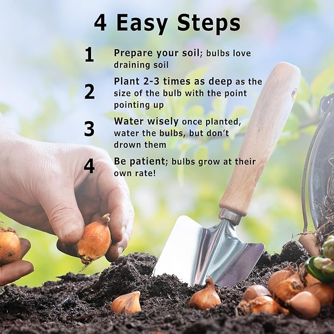 Mixed Ground Cover Tulip Bulbs (15-Pack) Low-Growing Tulips Bulbs for Fall Planting – Colorful Tulips for Borders, Beds & Walkways