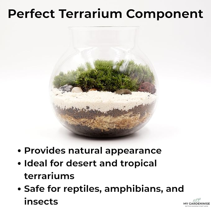 Fine Sand for Plants – Horticultural Sand for Succulents, Cactus, Potting Mixes, Terrariums & Decorative Indoor Gardens, Made in USA (1 Quart - 2.8 lbs)