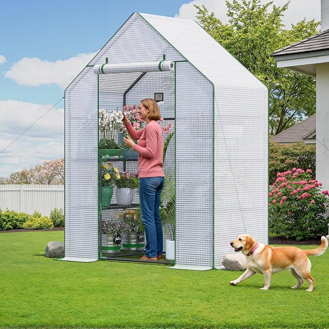 Portable Greenhouse for Outdoor, Small Greenhouses with Durable PE Cover, Walk in Greenhouse with Shelves Stands, White
