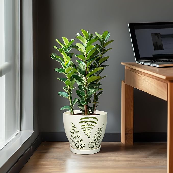 Ceramic Planter - 10 Inch Plant Pot for Outdoor Flowers with Drainage Hole and Saucer, Boho Round Decorative Indoor Flower Pot, Gifts for Plants Lovers, Home Patio Garden Room Decor, White