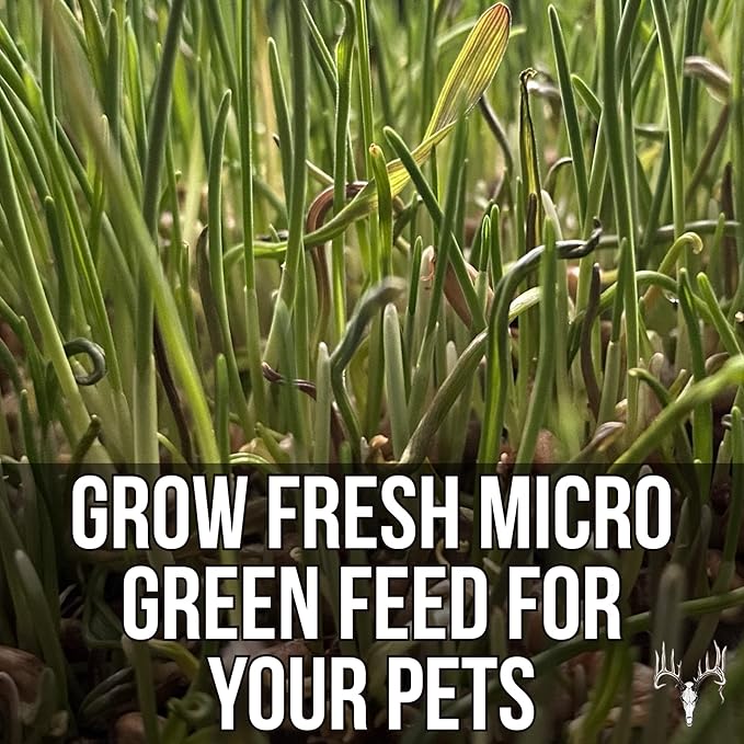 Mother Fodder Blend, 12LB EcoPack, Grain Seeds for Bird Food & Growing Fresh Green Grass Sprouts to Feed Pet Rabbits, Cows, Horse, Chicken, Goat, Sheep, Quail, Dog, Cat, Duck & Tortoise