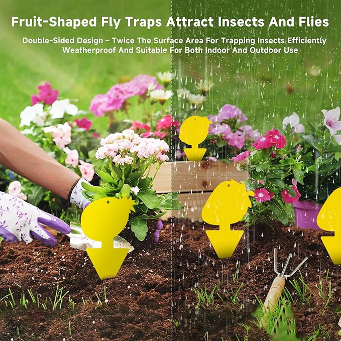 Fruit Fly & Fungus Gnat Traps 40 Pack – Yellow Sticky Gnat Traps for House Indoor & Outdoor Plants, Non-Toxic and Odorless Insect Bug Catcher