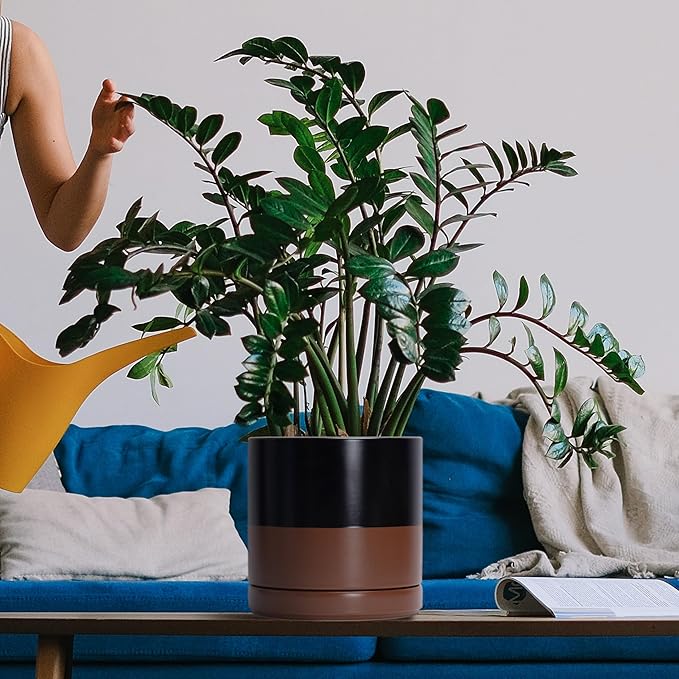 D'vine Dev 6.5 Inch & 8.2 Inch Ceramic Planter Pots for Plants with Drainage Hole and Saucer, Medium Plant Pots Set, Black/Speckled Tan, 94-G-M-7