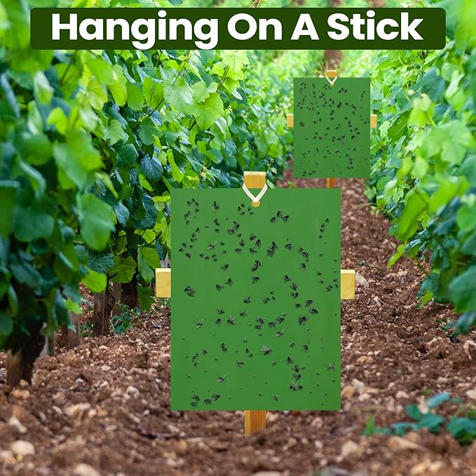 Qualirey 100 Pcs 6 x 8 Inch Sticky Traps for Plant Double Sided Sticky Trap for Gnats with Twist Ties Fly Traps for Fruit Insect Fungus Bugs Indoor Outdoor (Green)