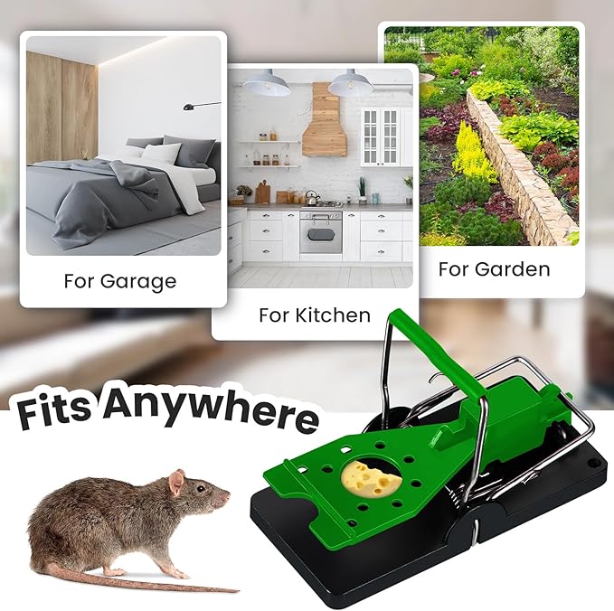Qualirey 24 Pcs Plastic Mouse Rat Traps House Indoor Quick Effective Safe for Warehouse Garden Kitchen 3.86 x 1.81 x 2.17 Inch (Black,Green)