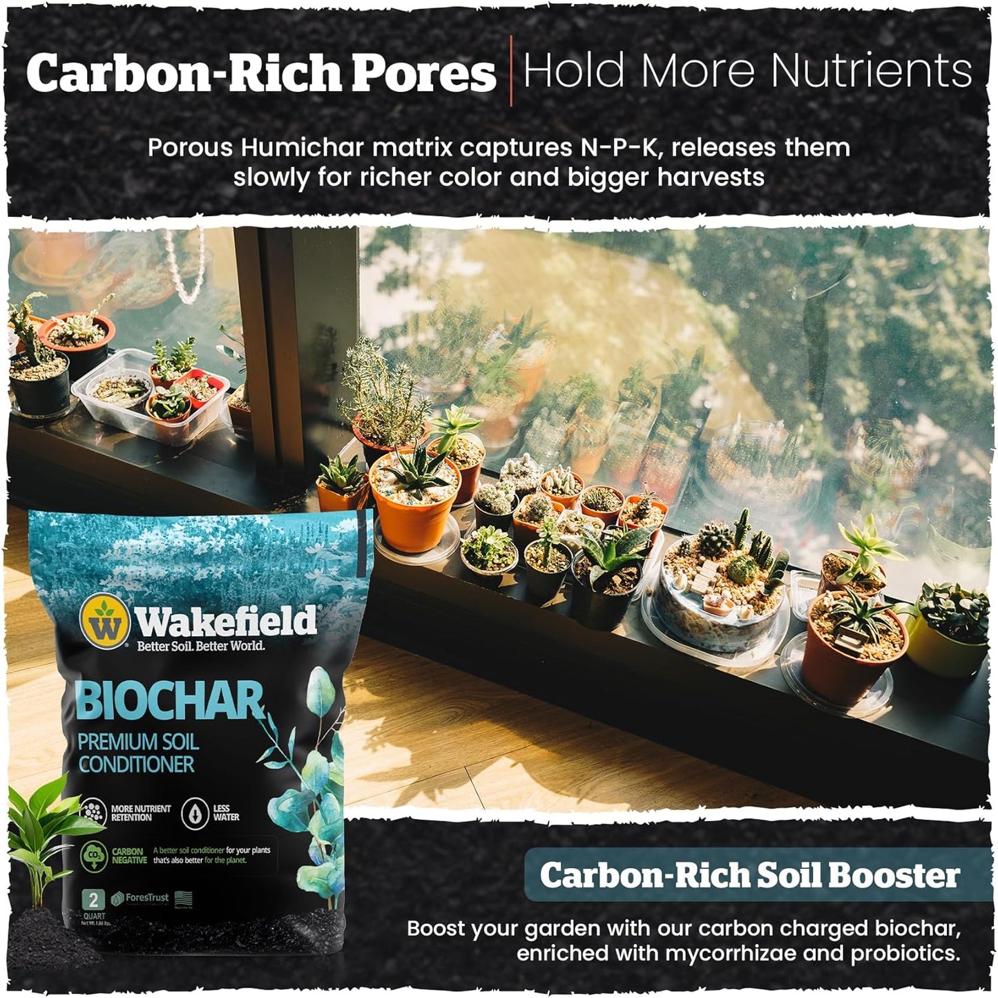 Wakefield Premium Organic Biochar Soil Amendment & Soil Conditioner – Certified Carbon-Negative Nutrient-Locking, Water-Efficient Bio Char for Plants & Lawns - Soil Amendments for Lawn - 2 Quart