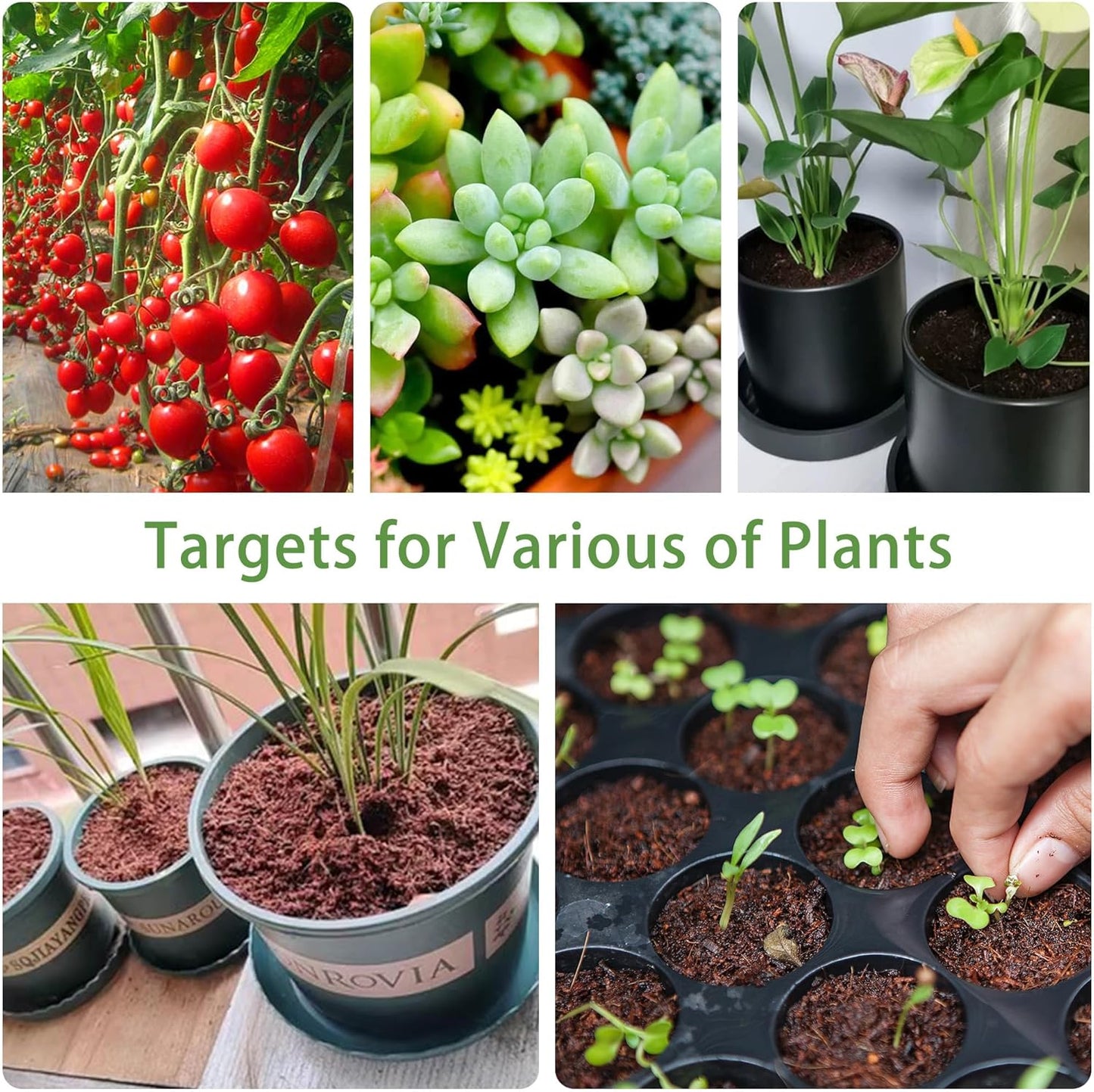 Coco Coir for Organic Coconut Coir- 12 Pack Coco Coir Brick- Coconut Soil with Low EC & PH Balance-Coco Fiber for Herbs& Flowers- High Expansion-Renewable Coco Soil for Planting