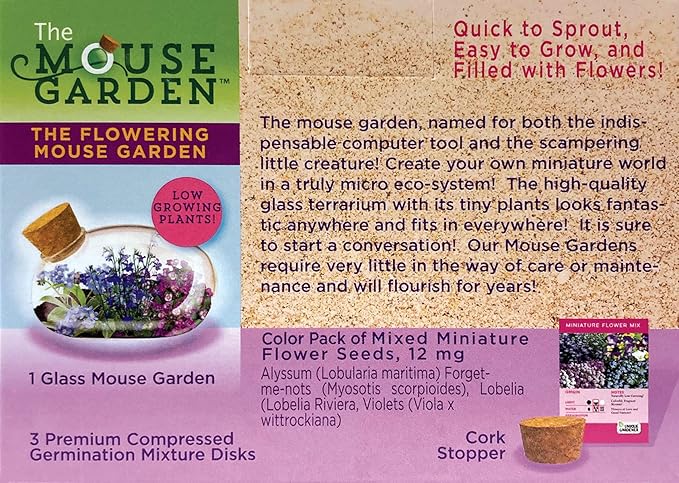 Mini Office Flower Glass Terrarium Starter Kit with Complete Supplies - The Flowering Mouse Tiny Garden - Easy to Maintain IndoorPlants - Perfect for The Office Or Home Tabletop