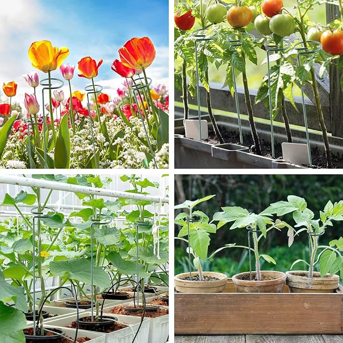 20 Pack 16 Inch Plant Support Stakes, Metal Single stemmed Flower Support Hoops，Garden Plant Stakes Plant Prop for Amaryllis Orchid Lily Rose Peony Tomatoes Gladiolus