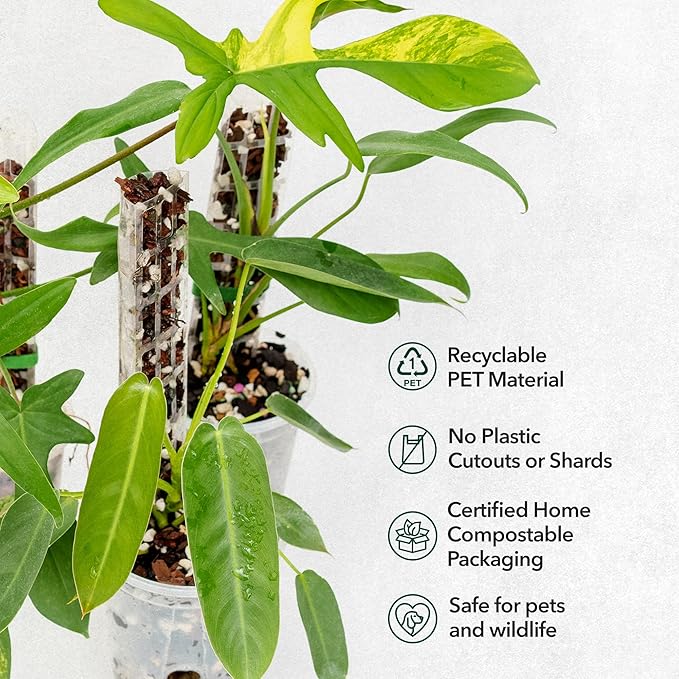 V2 Small GrowPole - Stackable Plastic Moss Poles for Climbing Plants, Monstera Plant Support-Plant Climbing Pole, DIY Plant Stick Support, Works for Philodendron and Anthuriums - 10 Pcs