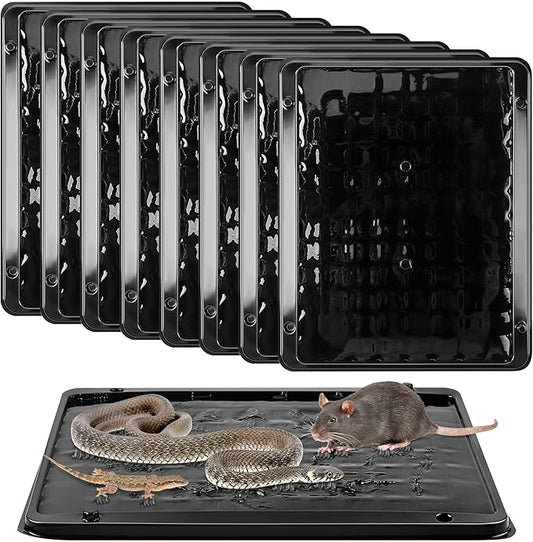 Qualirey Jumbo Rat & Mouse Glue Traps, 11.8 X 9.84 in Large Heavy Duty Mouse Traps Indoor for Home, Pre Scented Adhesive Plastic Tray with for Spider Trap, Snake, Mice, Children and Pet Safe(8 Pack)