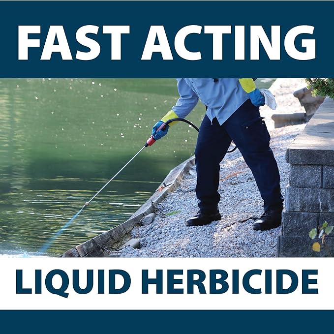 Airmax Shoreline Defense Emergent Weed Control Concentrated Treatment, Aquatic Herbicide (Glyphosate) for Phragmites, Pond Grass & Cattails, 1 Gallon