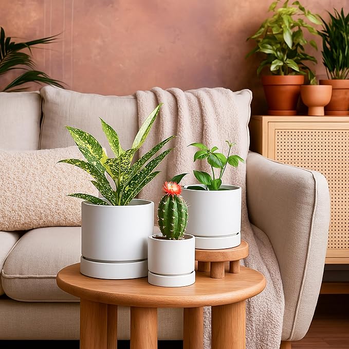 Phoenix Vine 8 Inch Planter Pot with Drainage Hole & Saucer, Deep Water Catch Tray, Straight Cylindrical Round Pot for Plants, Matte White, Pack of 1, 23-B-T-1