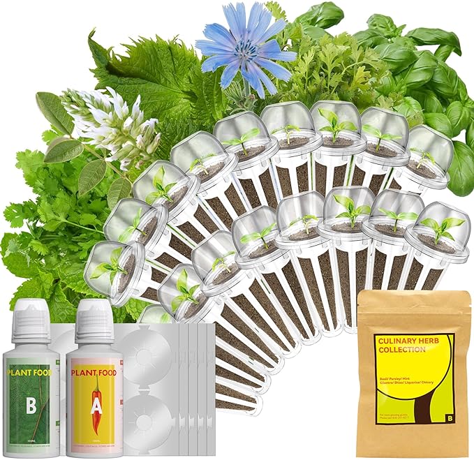 LYKOCLEAN Herb Seeds Pod Kit for AeroGarden, idoo, Ahopegarden, MUFGA Hydroponics Garden, 18-pods (350 Seeds+, Include Basil, Parsley, Mint, Cilantro, Shiso, Liquorice, Chicory)