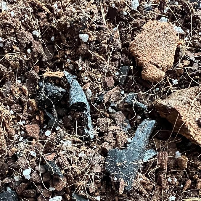 Hoya Classic Potting Soil - rePotme Houseplant Potting Soil Mix (Mini Bag - 2 Quarts)