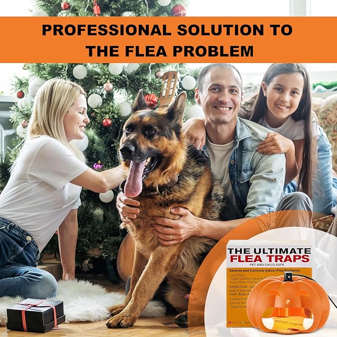 Qualirey 4 Pieces Flea Traps with 8 Sticky Disc 12 Bulbs 4 Electric Wires Pumpkin Halloween Flea Traps for Inside Your Home Light Trap for Indoor Safe to Pets