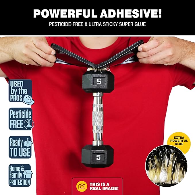 Catchmaster Rat, Snake and Mouse Traps 8Pk, Large Bulk Glue Rat Traps for Home, Adhesive Plastic Tray for Inside House, Snake, Mice, & Spider Catcher, Pest Control for House & Garage