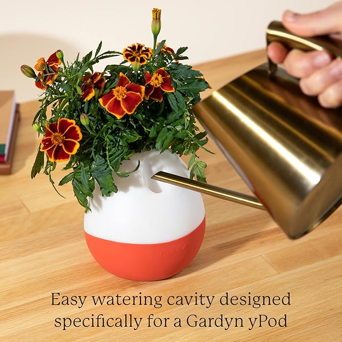 Gardyn Vase Complete Kit - Sage Green | Designed for use with Gardyn Hydroponics Growing System Kits & Vertical Garden Hydroponic Gardens | Bring Gardyn’s Indoor Plants to All Areas of Your Home