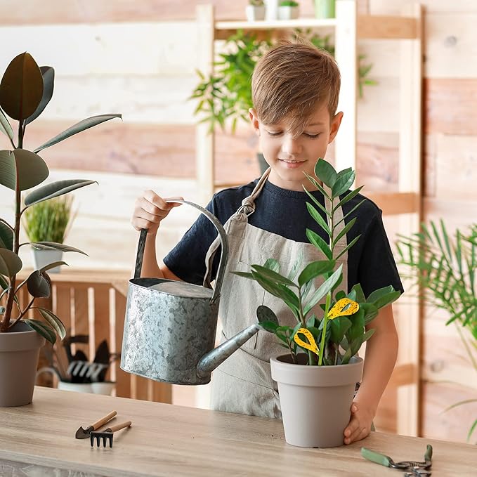 60PCS Yellow Sticky Traps for Gnats Fungus Gnat Traps for House Indoor Fruit Fly Traps for Indoor/Outdoor Catcher for Whiteflies Mosquitoes Thrips Aphids... Stake Holders Included Dual-Sided