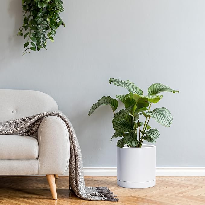 D'vine Dev 8.2 Inch & 10 Inch Ceramic Planter Pot for Plants with Drainage Hole and Saucer, Large Plant Pots Set, White, 94-G-L-1