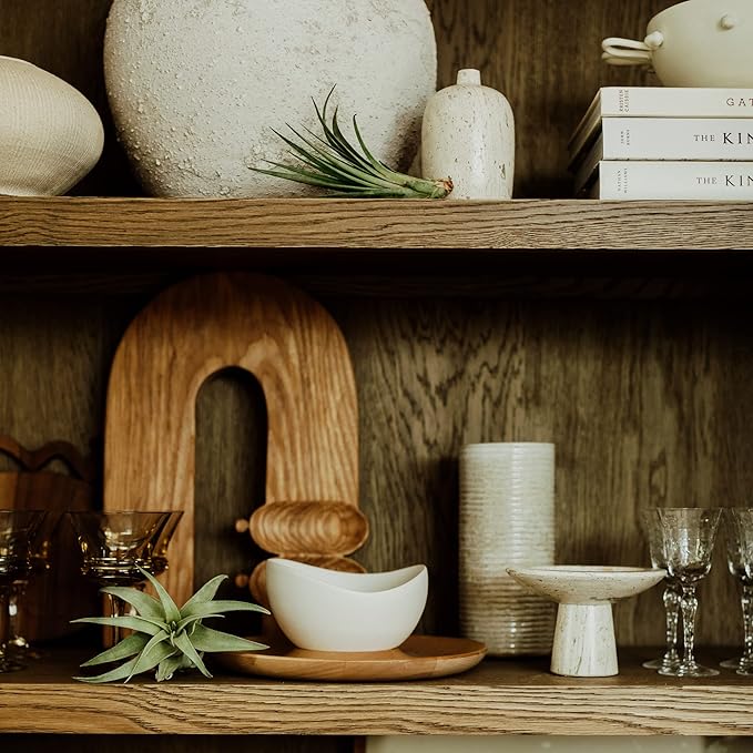 Holiday Hosting Gift Box Jumbo - 12ct - Tillandsia Air Plant Set - Live Arrival Guaranteed - House Plants for Home Decor & Gift