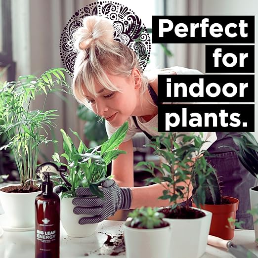 Big Leaf Energy (16 FL OZ) Organic Neem Oil Spray for Plants + Essential Oils : Ready to Use Plant Wash for Indoor Houseplants & Outdoor Gardens, Natural Leaf Shine