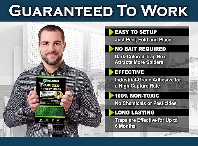 MaxGuard Spider + Insect Traps (12 pcs Box Trap) | Non-Toxic Extra Sticky Glue Traps, Kill Black Widow Hobo Brown Recluse Spiders and Other Crawling Bugs & Insects |