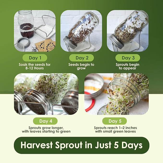 Nature Jims Sprouts Organic Broccoli Seeds for Sprouting – Certified Non-GMO, Rich in Sulforaphane, Swift-Growing Microgreen Seeds for Nutritious Broccoli Sprouts – Ideal for Indoor/Outdoor Use – 8oz